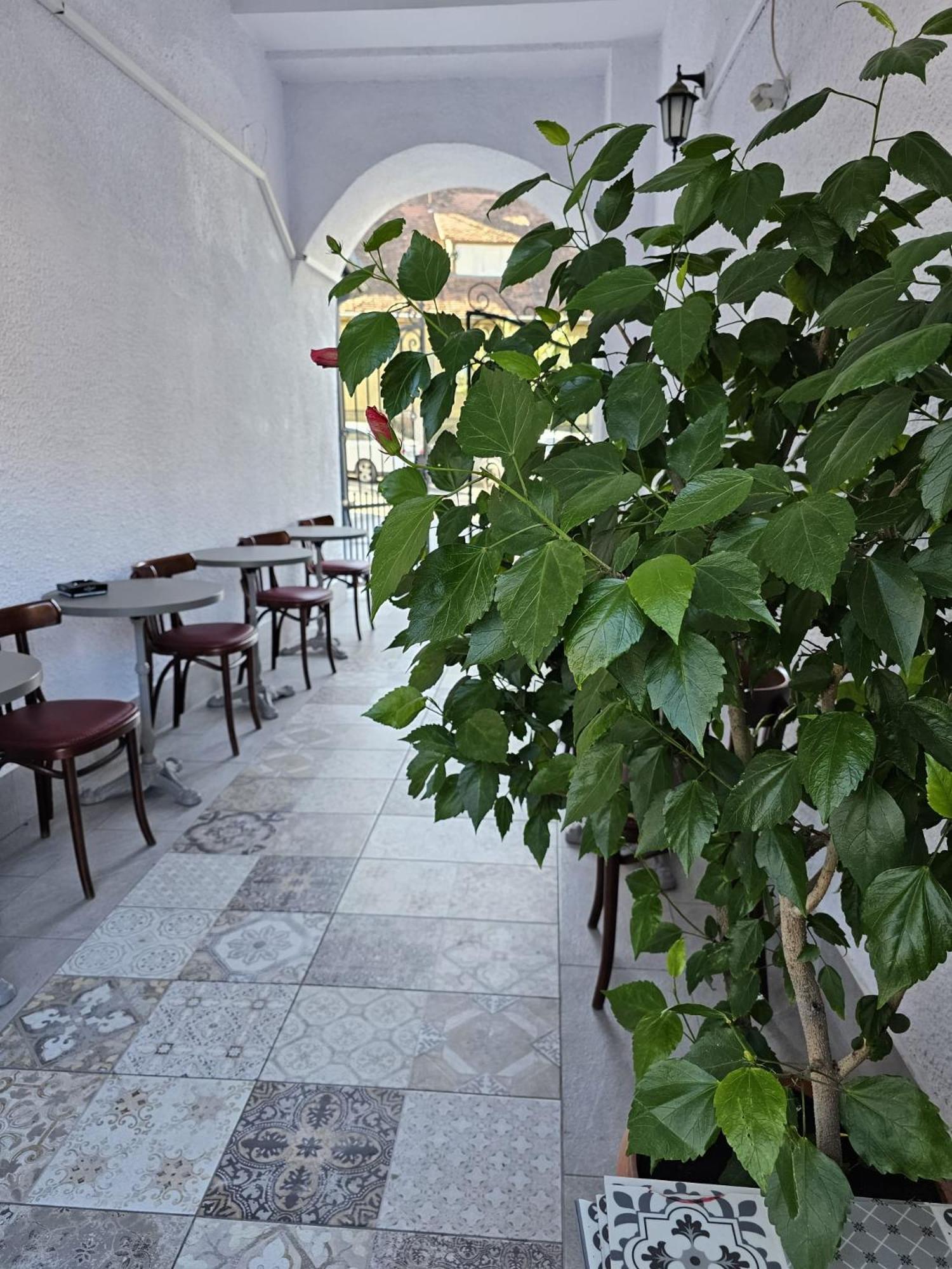 Hotel Apollonia Braszów Zewnętrze zdjęcie