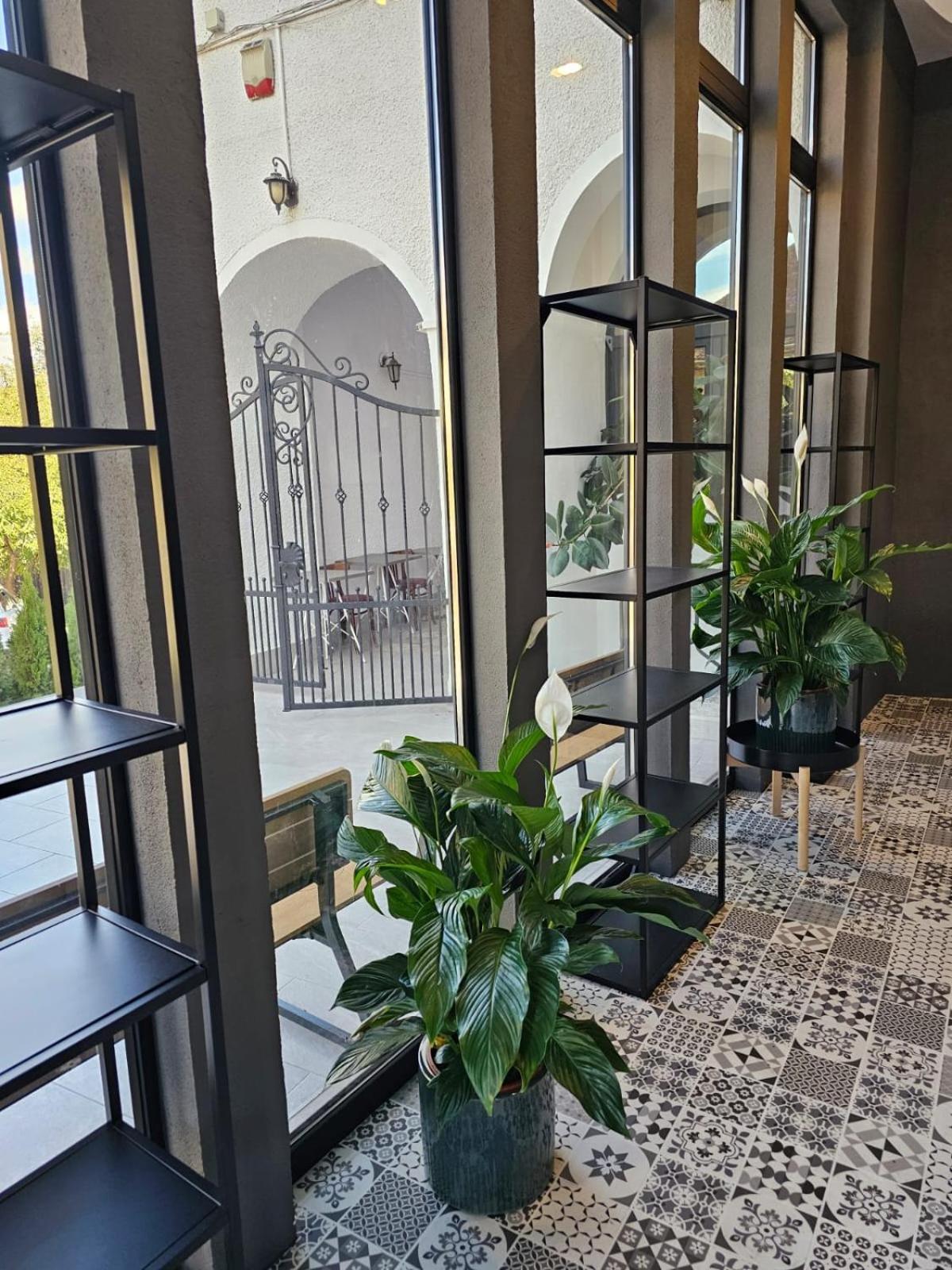 Hotel Apollonia Braszów Zewnętrze zdjęcie